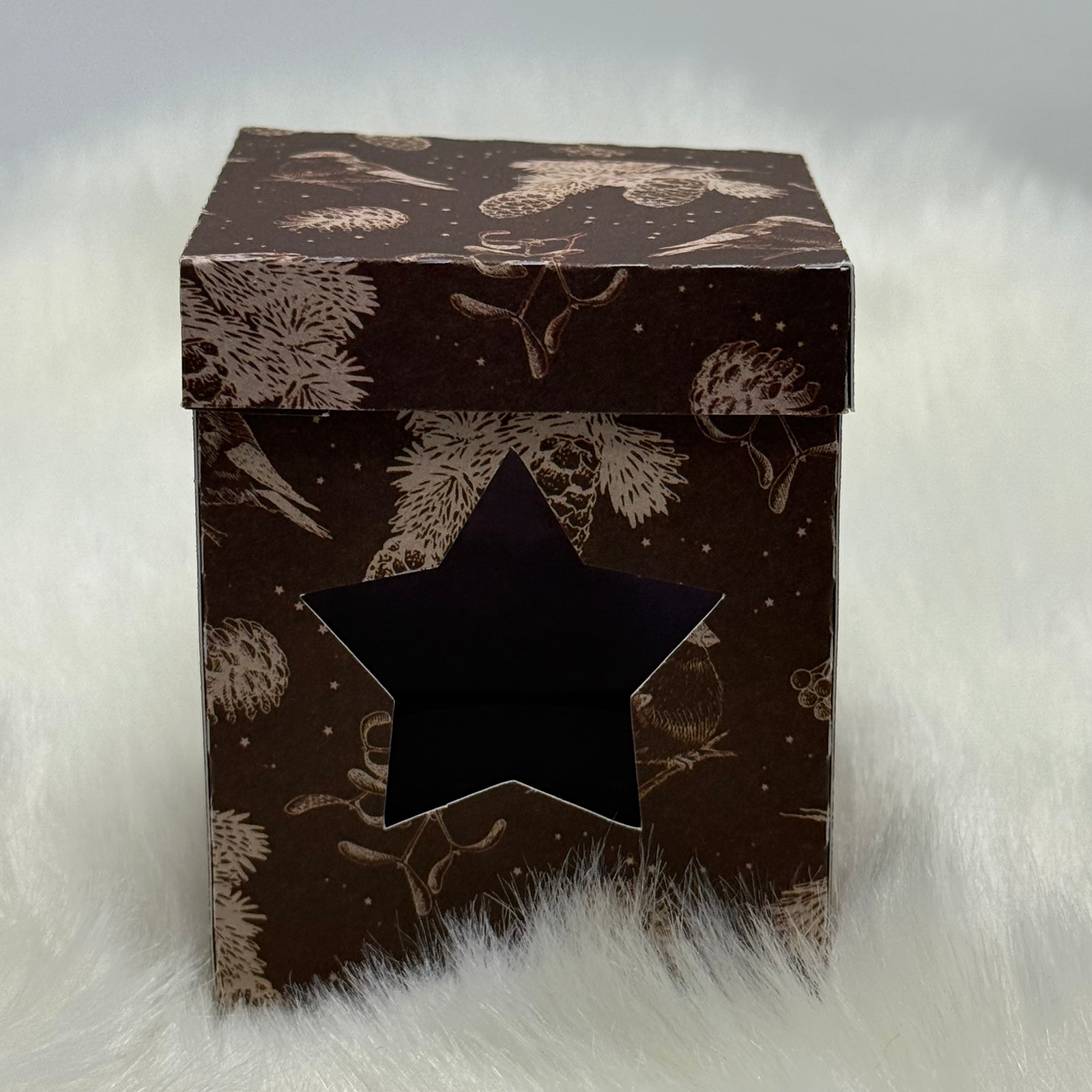 Weihnachtskugelverpackung