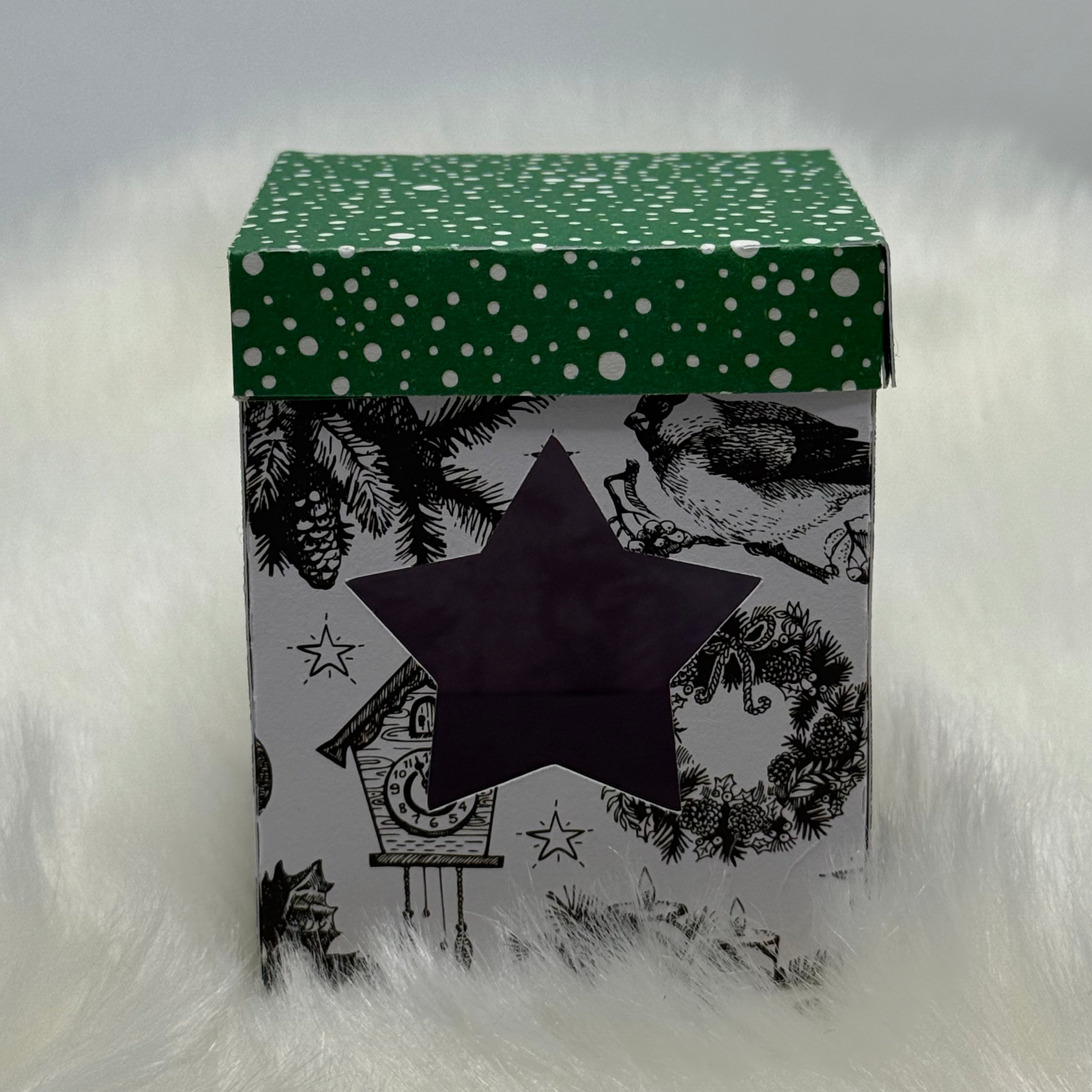 Weihnachtskugelverpackung